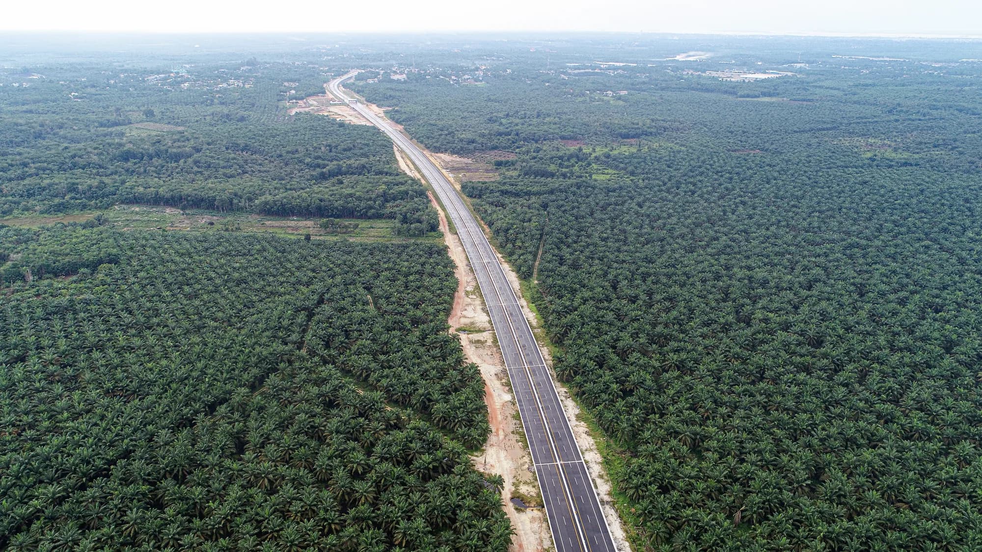 Ruas lurus Jalan Tol Pekanbaru–Dumai membelah perkebunan sawit